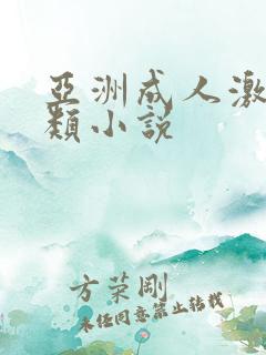 亚洲成人激情另类小说