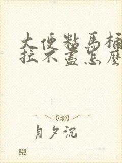 大便粘马桶感觉拉不尽怎么办