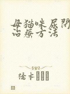 母猫咪尿闭最佳治疗方法