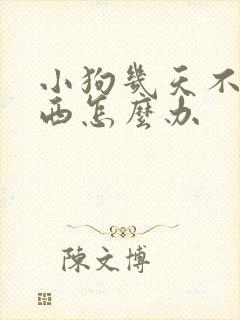 小狗几天不吃东西怎么办