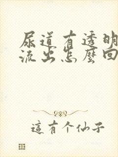 尿道有透明液体流出怎么回事