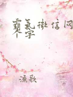 霸气微信网名两个字