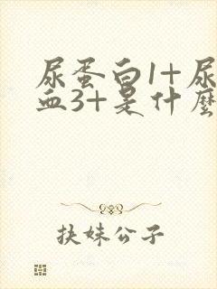 尿蛋白1+尿隐血3+是什么意思