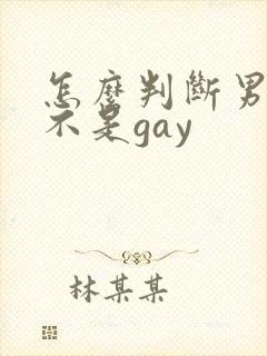 怎么判断男的是不是gay