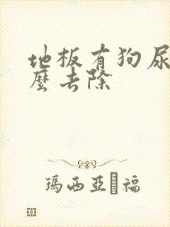 地板有狗尿味怎么去除