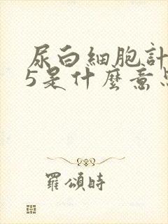 尿白细胞计数25是什么意思