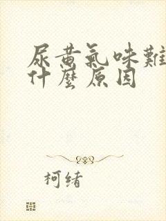 尿黄气味难闻是什么原因