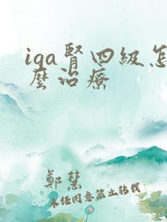 iga肾四级怎么治疗
