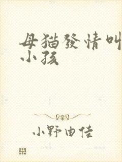 母猫发情叫声像小孩