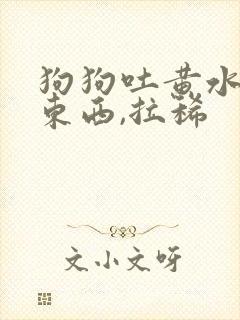 狗狗吐黄水不吃东西,拉稀