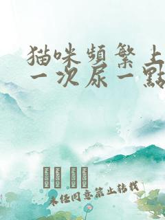 猫咪频繁上厕所一次尿一点咋回事