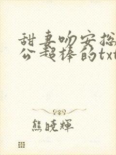 甜妻吻安总裁老公超棒的txt