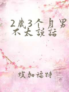 2岁3个月男孩不太说话