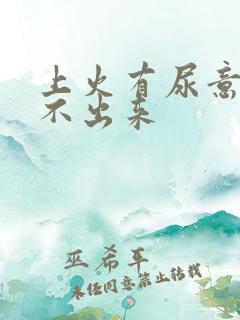 上火有尿意却尿不出来