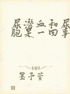 尿潜血和尿红细胞是一回事吗