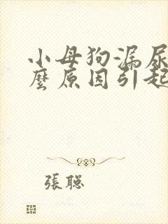 小母狗漏尿是什么原因引起的