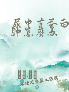 尿中有蛋白,腿肿怎么办