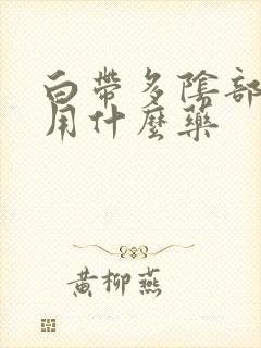 白带多阴部瘙痒用什么药