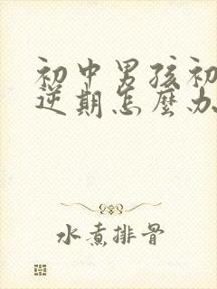 初中男孩初中叛逆期怎么办