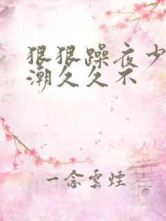 狠狠躁夜少妇高潮久久不