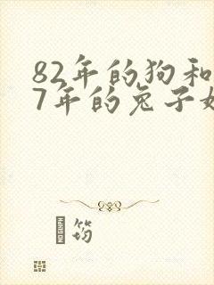 82年的狗和87年的兔子婚配行吗