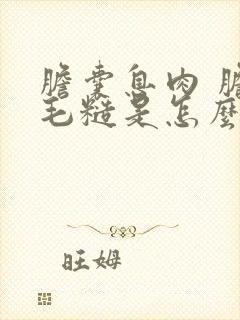 胆囊息肉 胆壁毛糙是怎么回事