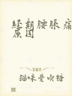 经期腰胀痛什么原因