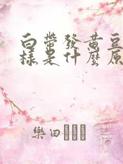 白带发黄豆腐渣样是什么原因引起的