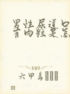 男性尿道口边上有肉粒是怎么回事