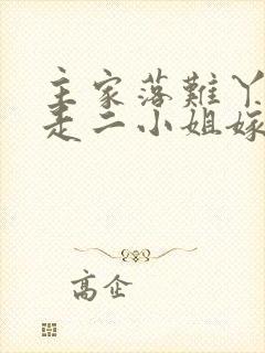 主家落难丫鬟带走二小姐嫁给大少爷的小说