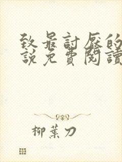 致最讨厌的你小说免费阅读