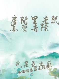 房间里老鼠尿味怎么去除