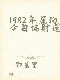 1982年属狗今日偏财运如何