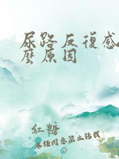 尿路反复感染什么原因