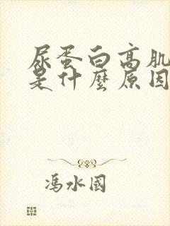 尿蛋白高肌酐高是什么原因引起的