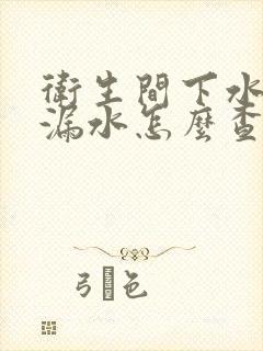 卫生间下水管道漏水怎么查