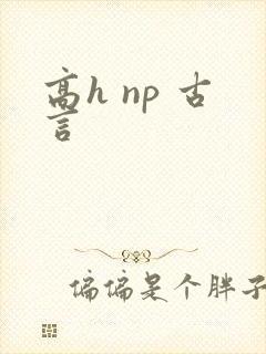 高h np 古言