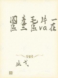 国产毛片一区二区三区va在线