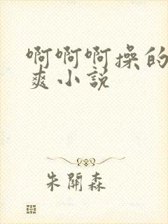 啊啊啊操的我好爽小说