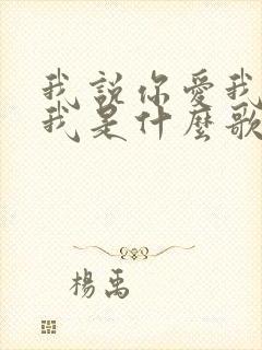 我说你爱我你想我是什么歌