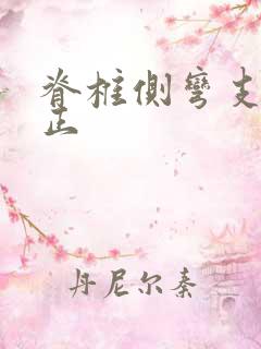 脊椎侧弯支具纠正