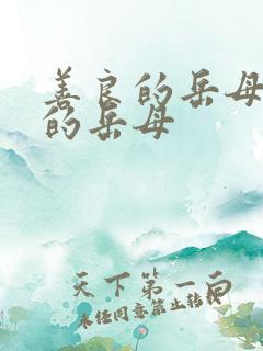 善良的岳母年轻的岳母