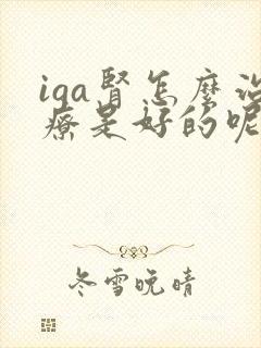 iga肾怎么治疗是好的呢