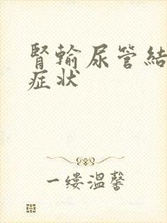 肾输尿管结石 症状