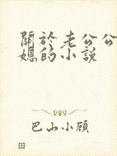 关于老公公与儿媳的小说