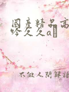 国产精品高潮呻吟久久aγ