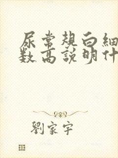 尿常规白细胞计数高说明什么问题