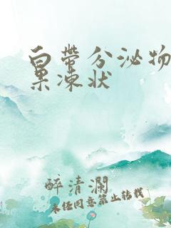 白带分泌物透明果冻状