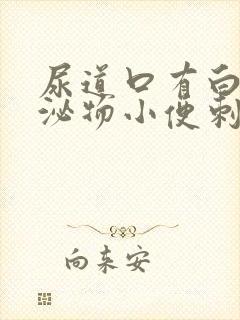 尿道口有白色分泌物小便刺痛怎么回事