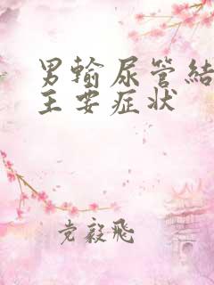 男输尿管结石的主要症状